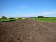 Access road after reclamation complete